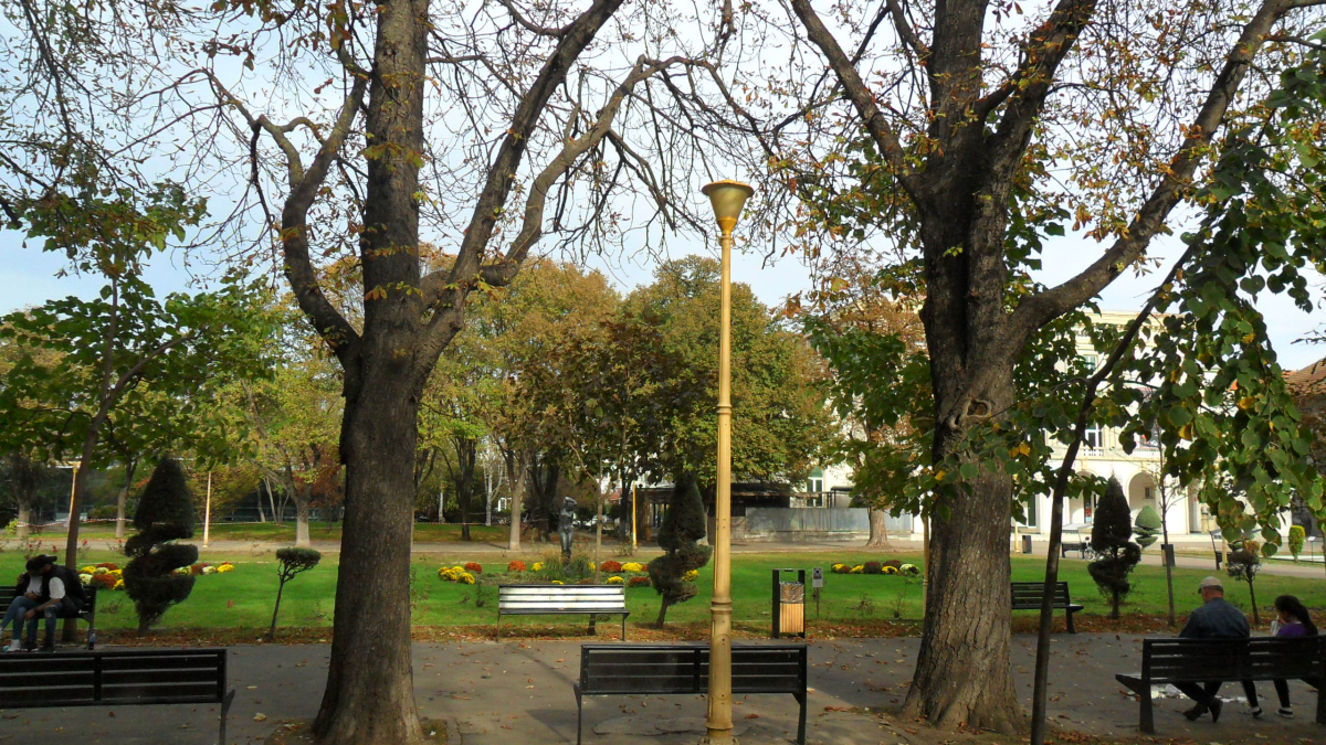 SAM_1878